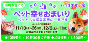 11,12月のペット幸せおまいり
