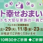 10,11月のペット幸せおまいり