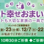 11,12月のペット幸せおまいり