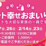 1,2月のペット幸せおまいり