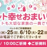 5.6月のペット幸せおまいり