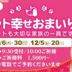 11,12月のペット幸せおまいり