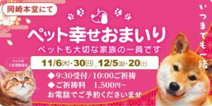 11,12月のペット幸せおまいり