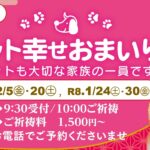 12.1月のペット幸せおまいり