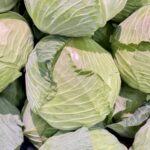 3/20“国産キャベツ”無料配布のご案内
